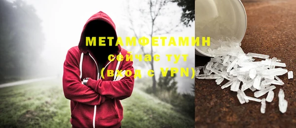 прущие грибы Нефтекумск
