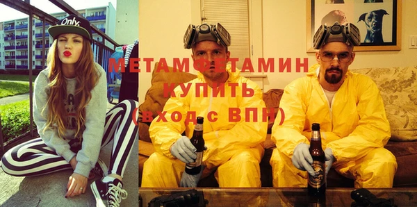 прущие грибы Нефтекумск