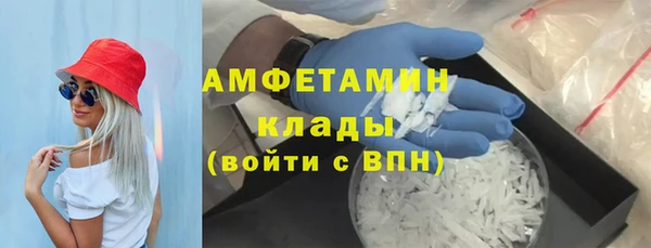 прущие грибы Нефтекумск