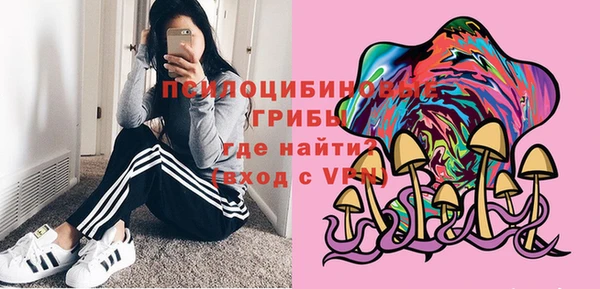 прущие грибы Нефтекумск