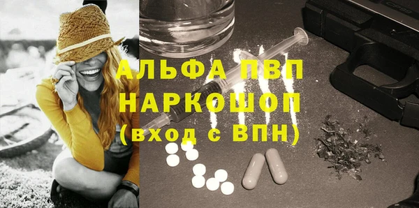 прущие грибы Нефтекумск