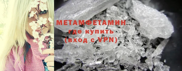 прущие грибы Нефтекумск