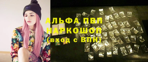 прущие грибы Нефтекумск