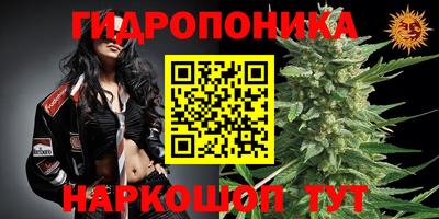 крисы Ливны