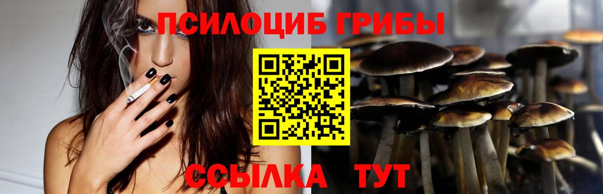 Галлюциногенные грибы Magic Shrooms  Вход с VPN  Ярославль  Псилоцибиновые грибы мухоморы 